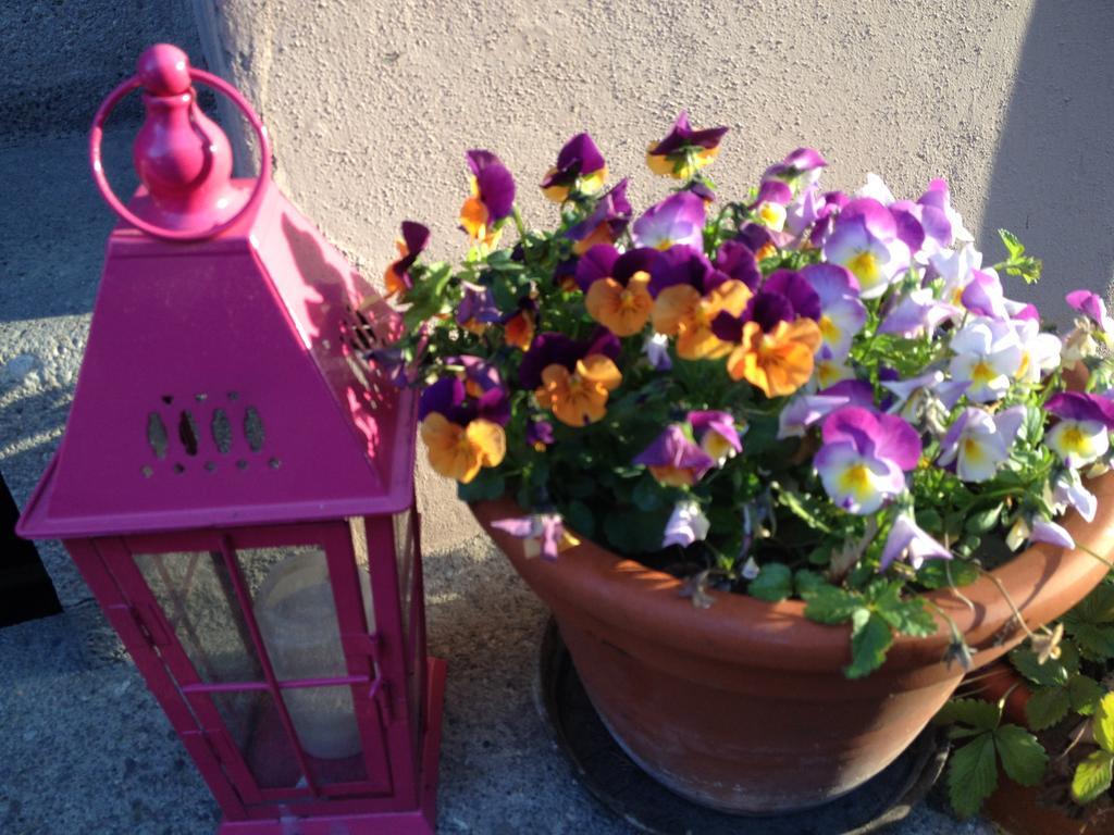 B&B La Vie En Rose Basilea Esterno foto