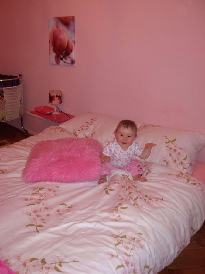 B&B La Vie En Rose Basilea Esterno foto